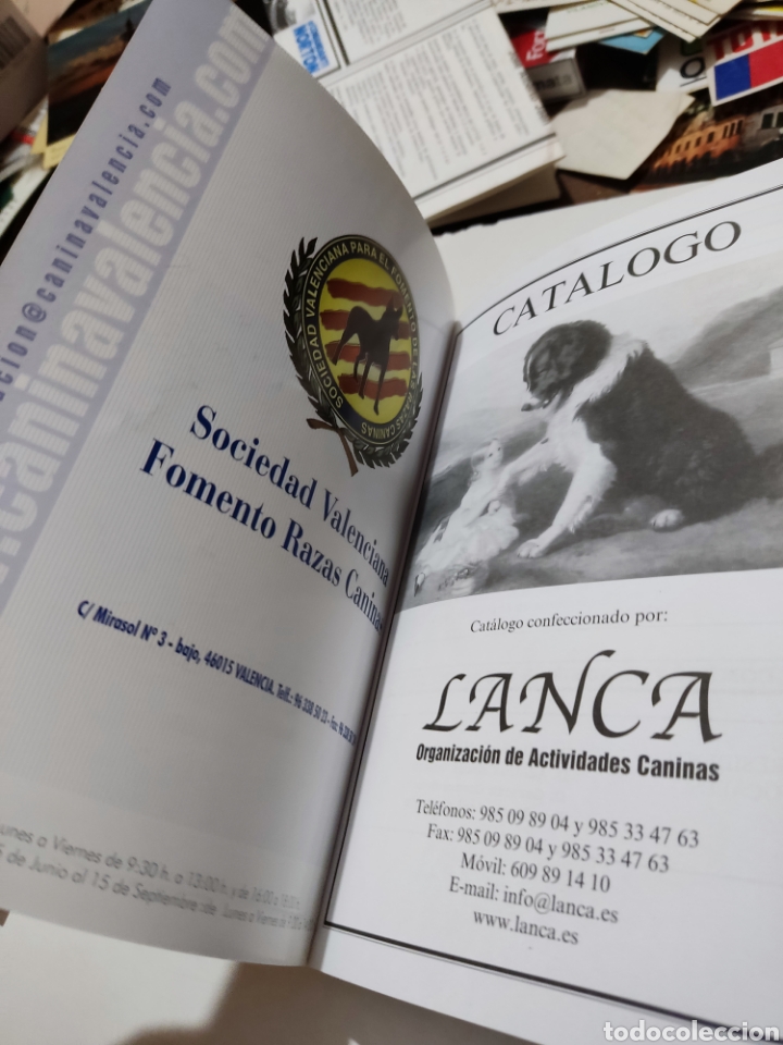Libros: Libro Valencia 2008 29 Exposici&oacute;n internacional canina de Valencia - Foto 2