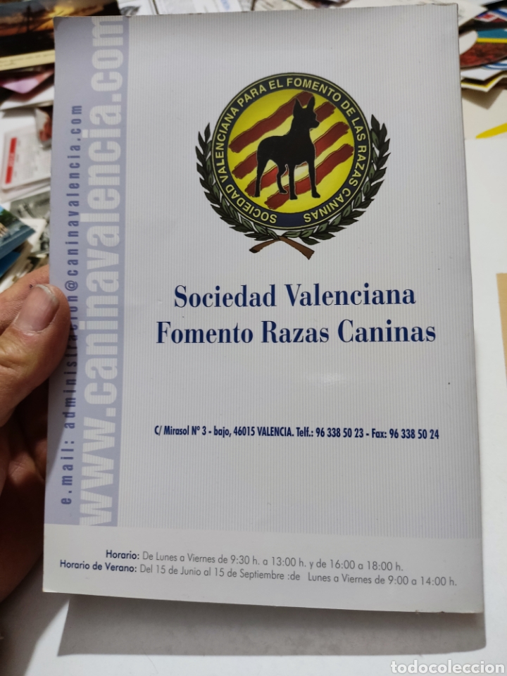 Libros: Libro Valencia 2008 29 Exposici&oacute;n internacional canina de Valencia - Foto 11