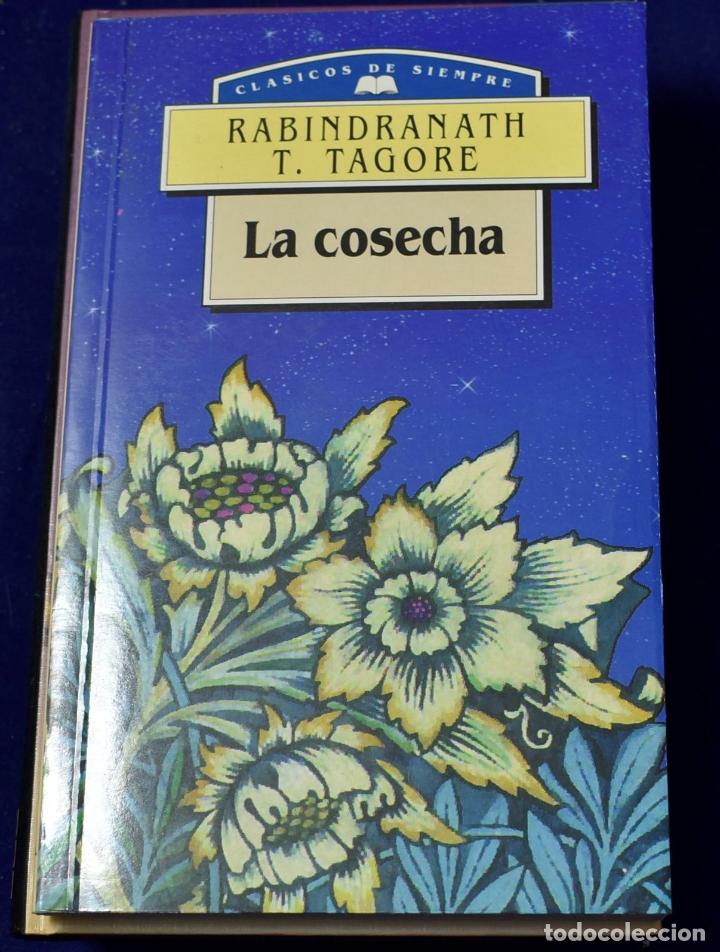 Libros: La cosecha - Tagore, Rabindranath - Foto 1