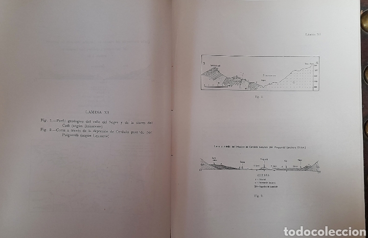 Libros: LA DEPRESION CERETANA ESPA&Ntilde;OLA Y SUS VEGETALES FOSILES. Caracteristica fitopaleontologica del Neogen