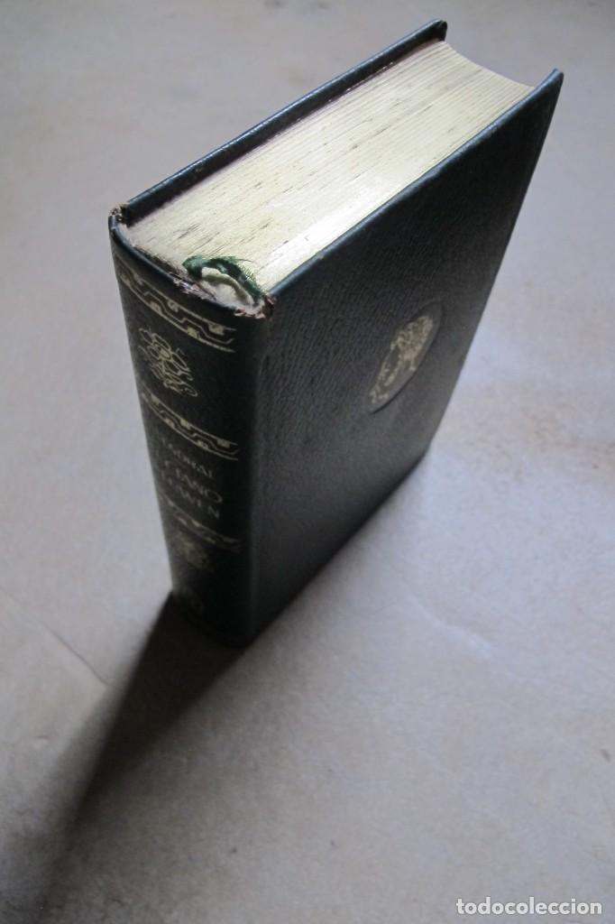 Libros: LUCIANO LEUWEN. STENDHAL. LORENZANA - Foto 1