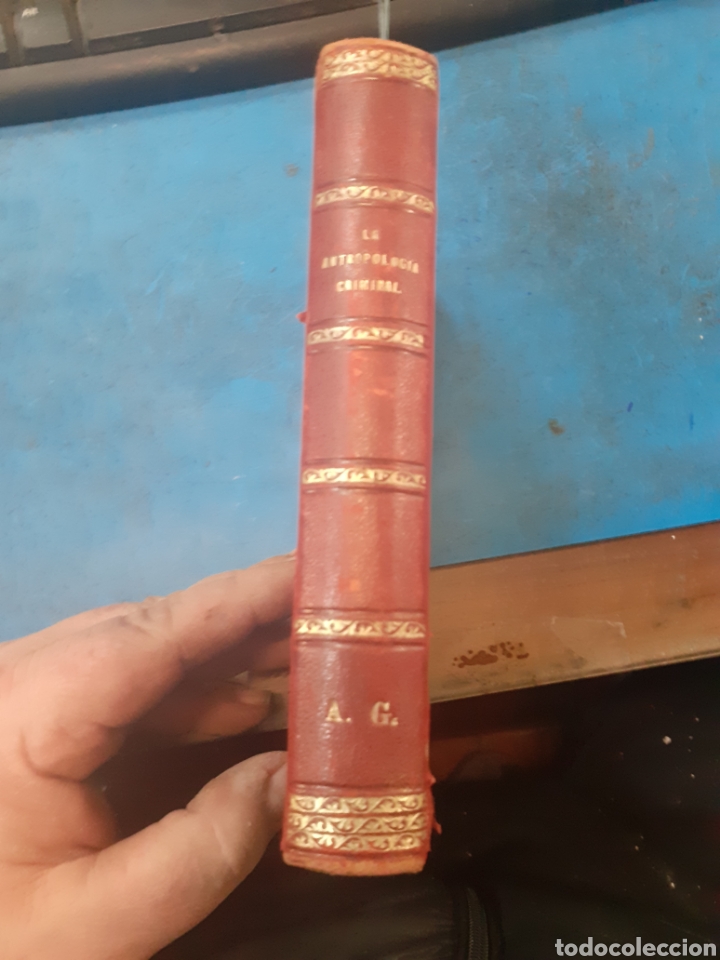 Libros: LA ANTROPOLOGIA CRIMINAL - FRANCOTTE,Javier - Foto 5