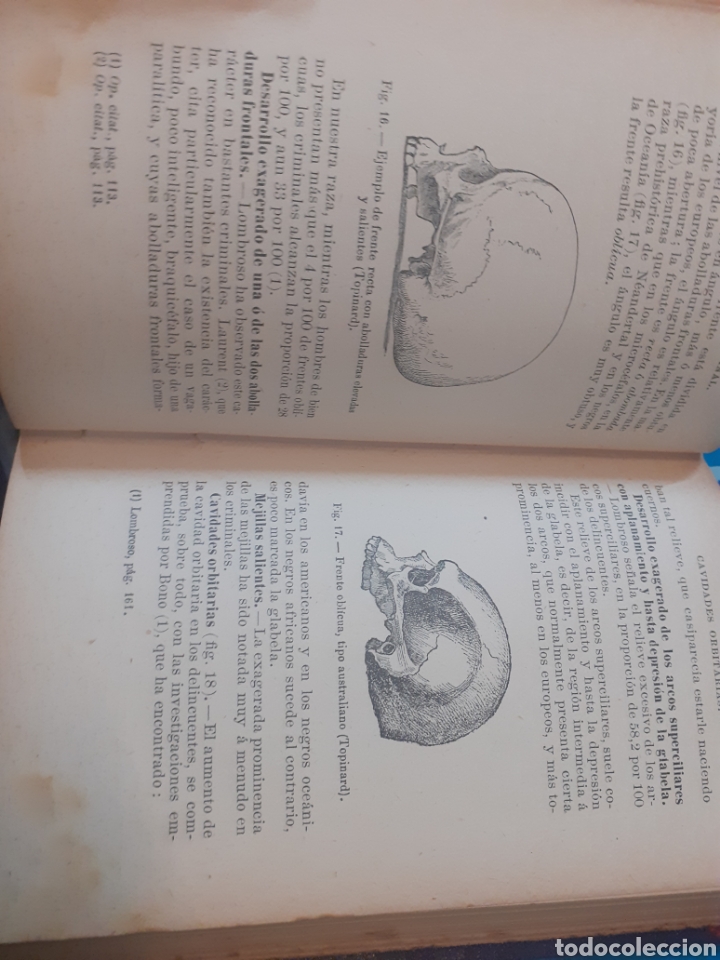 Libros: LA ANTROPOLOGIA CRIMINAL - FRANCOTTE,Javier - Foto 7