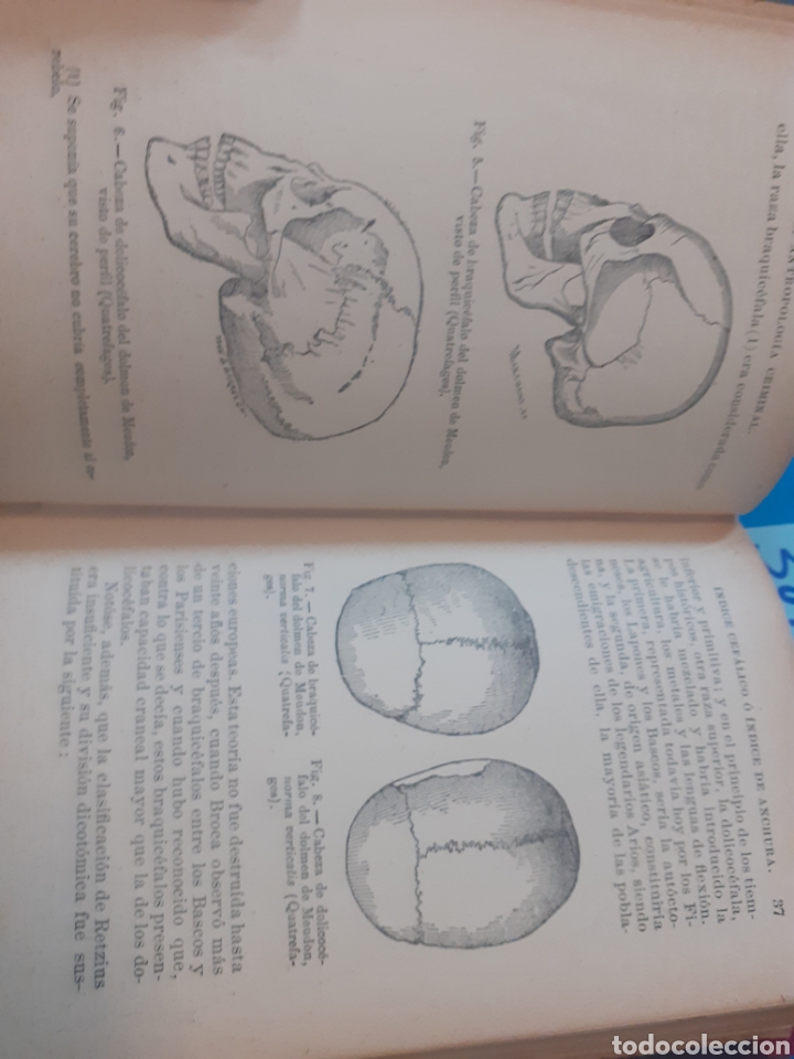 Libros: LA ANTROPOLOGIA CRIMINAL - FRANCOTTE,Javier - Foto 8