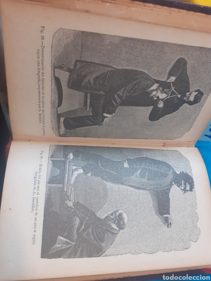 Libros: LA ANTROPOLOGIA CRIMINAL - FRANCOTTE,Javier - Foto 9