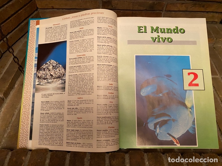 Libros: Libro Guinness de los records 1996. - Foto 6