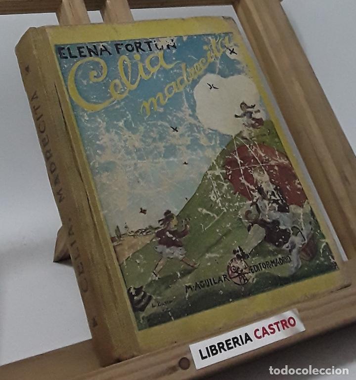 Libros: Celia madrecita - Elena Fort&uacute;n - Foto 1