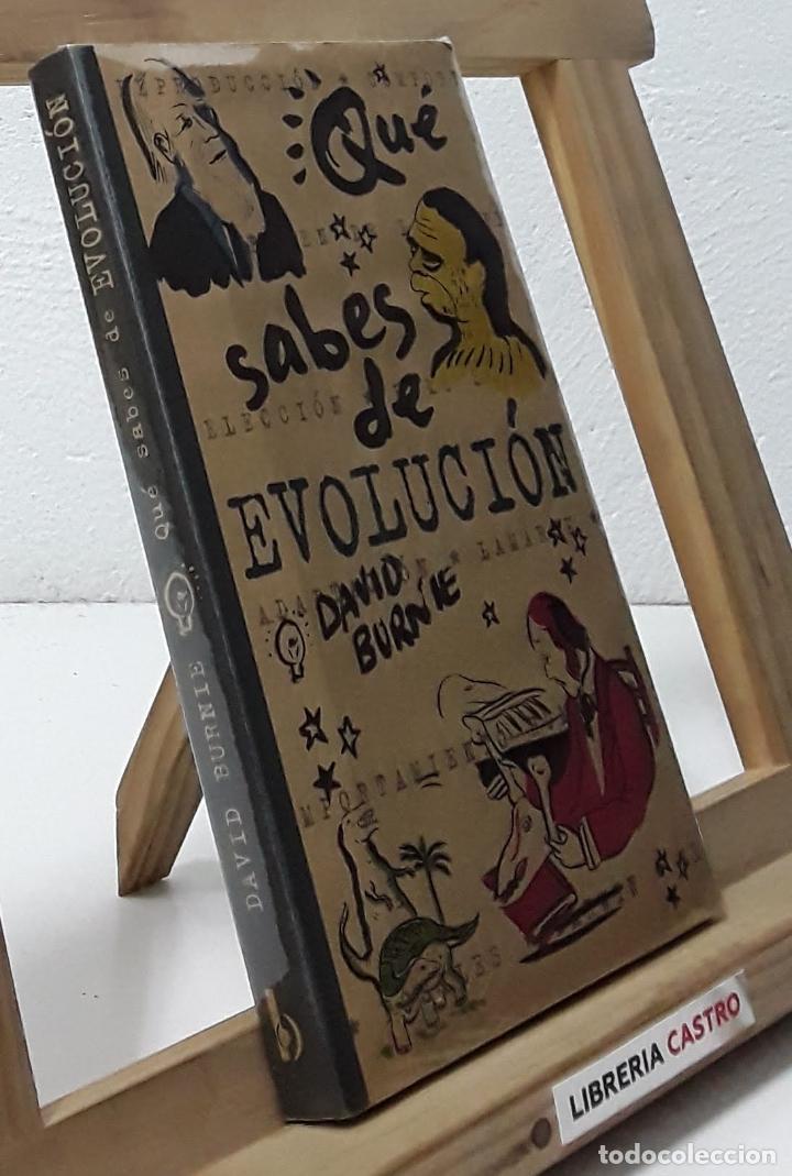 Libros: Qu&eacute; sabes de la evoluci&oacute;n - David Burnie - Foto 1