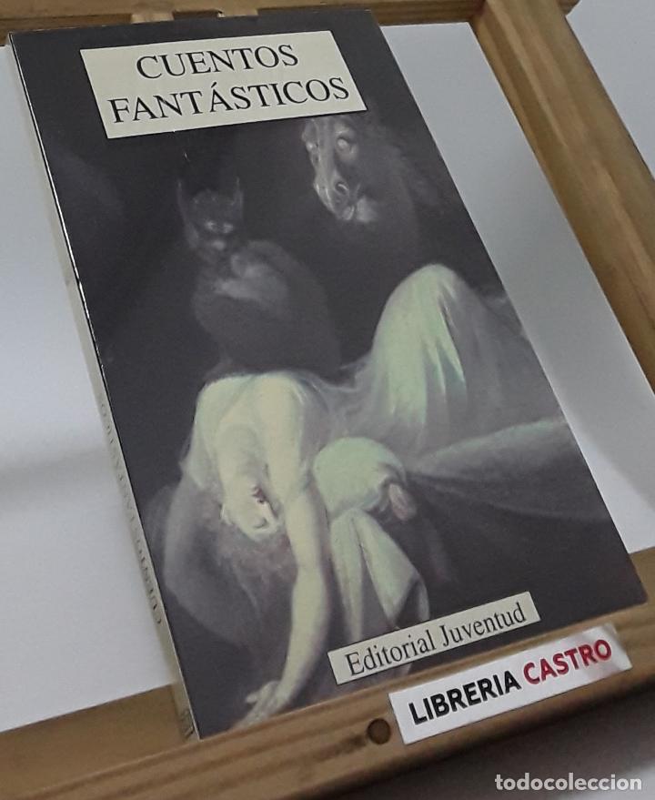 Libros: Cuentos fant&aacute;sticos - Varios - Foto 1