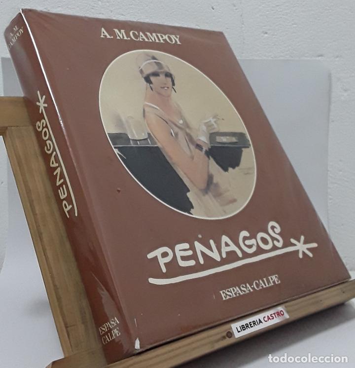 Libros: Penagos - A. M. Campoy - Foto 1