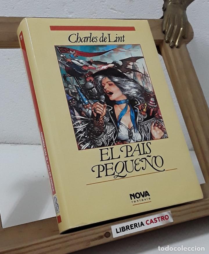 Libros: El pa&iacute;s peque&ntilde;o - Charles de Lint - Foto 1