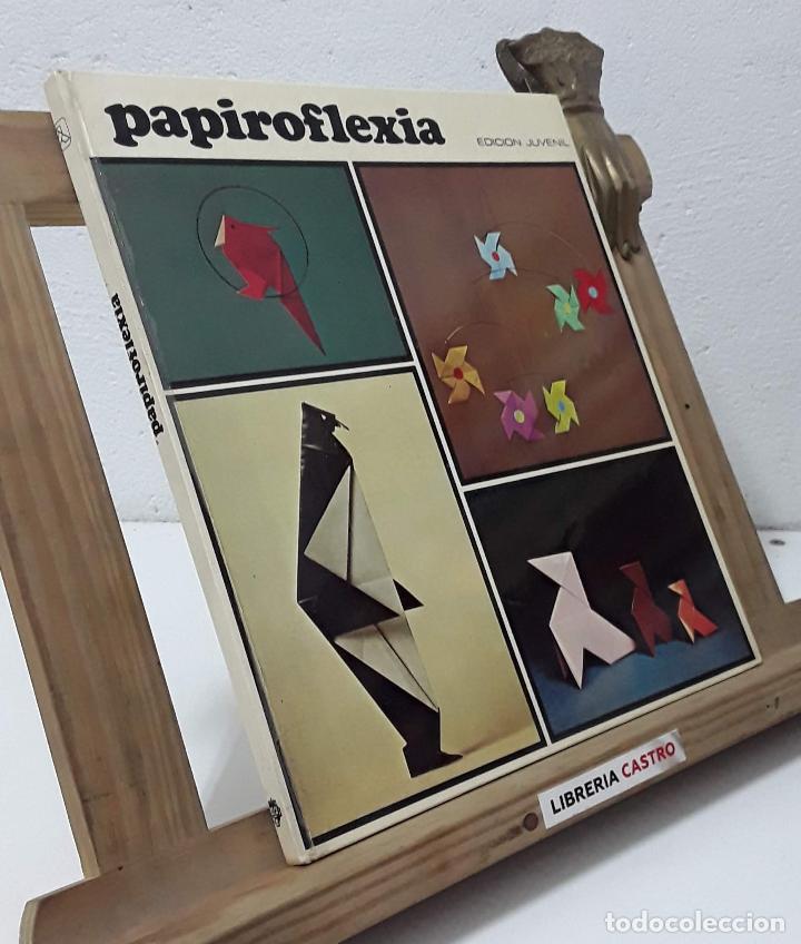Libros: Papiroflexia - Rosa Mesalles - Foto 1