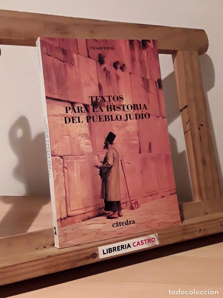 Libros: Textos para la historia del pueblo jud&iacute;o - C&eacute;sar Vidal - Foto 1