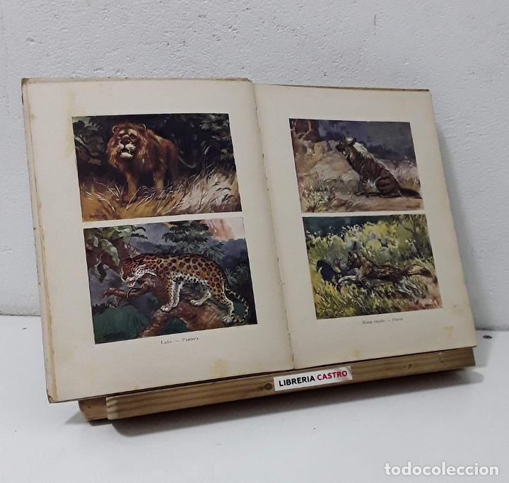 Libros: Animales feroces - F. Caba&ntilde;as Ventura - Foto 2