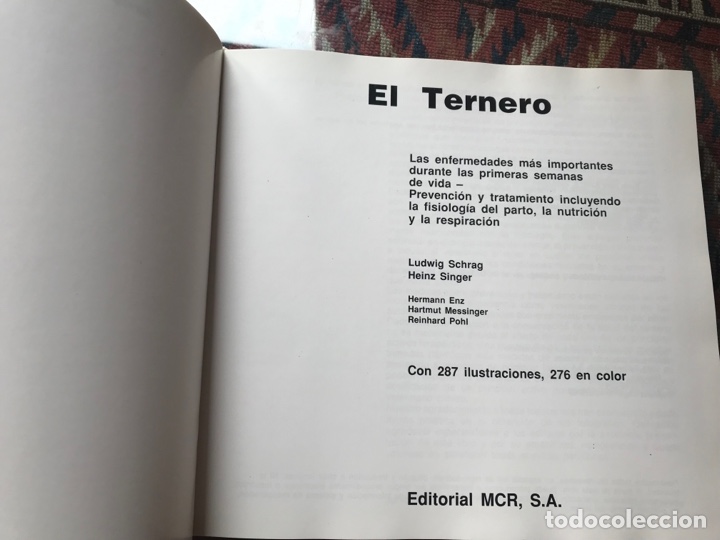 Libros: El ternero. Ludwig Schras. MCR. Dif&iacute;cil - Foto 2