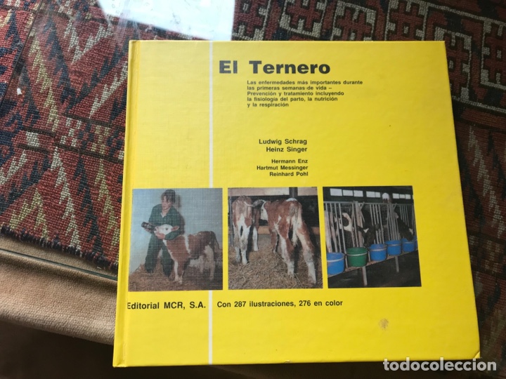Libros: El ternero. Ludwig Schras. MCR. Dif&iacute;cil - Foto 1