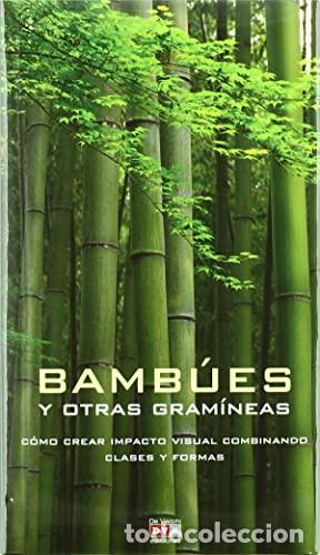 Livres: BAMB&Uacute;ES Y OTRAS GRAMINEAS - Kingsbury,Noel