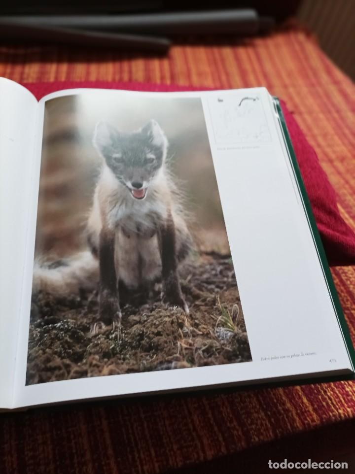Libros: LA CAZA - Foto 4