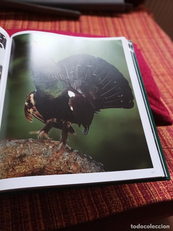 Libros: LA CAZA - Foto 5