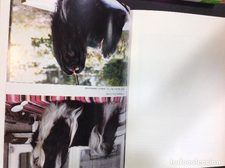 Libros: El shih tzu - Foto 2