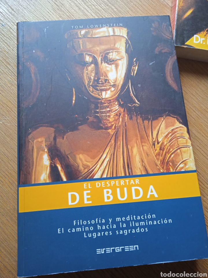 Libros: Barybook 108 El despertar del Buda Tom lowenstein - Foto 1