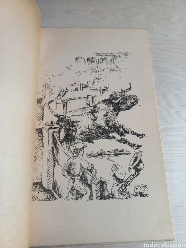 Libros: Toros. Dibujos de A. S&aacute;nchez. Tauromaquia. - Foto 6