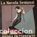 Libros: PIEDRA EN TORRENTE - ILUST. MANCH&Oacute;N - Foto 1