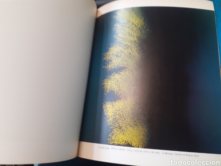 Libros: HANS HARTUNG. Paintings 1971-1975 - CATALOGO. - Foto 5