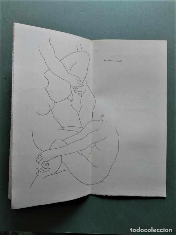 Libros: Exposici&oacute;n. Obras de Gregorio Prieto 1973. - Gregorio Prieto. Rafael Alberti. - Foto 4