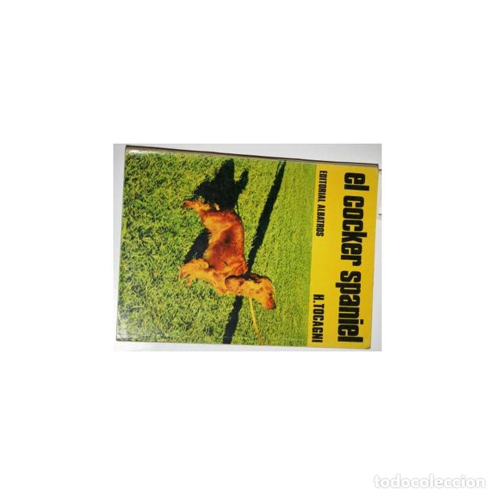 Libros: El cocker spaniel - TOCAGNI, H&eacute;ctor - Foto 1