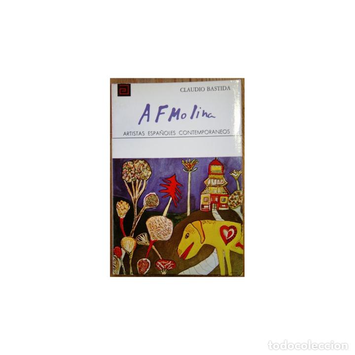 Libros: Fern&aacute;ndez Molina - BASTIDA, Claudio - Foto 1