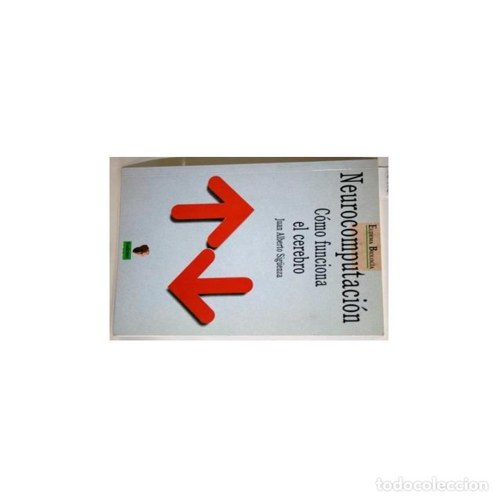 Libros: NEUROCOMPUTACI&Oacute;N. C&oacute;mo funciona el cerebro - SIG&Uuml;ENZA, Juan Alberto - Foto 1