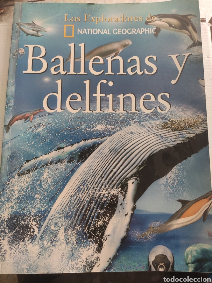 Libros: BALLENAS Y DELFINES. NATIONAL GEOGRAPHIC - Foto 1