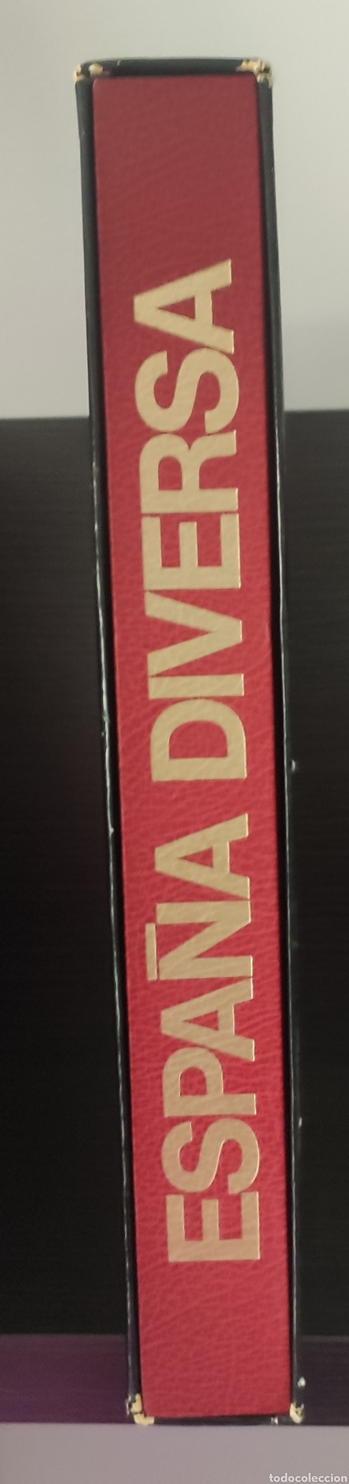 Libros: Espa&ntilde;a diversa - Foto 4