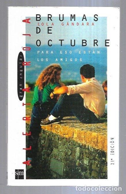 Libros: BRUMAS DE OCTUBRE - GANDARA, LOLA - Foto 1