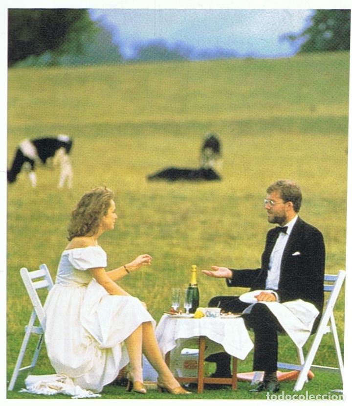 Libros: CHAMPAGNE. - Sutcliffe. Serena, - Foto 3