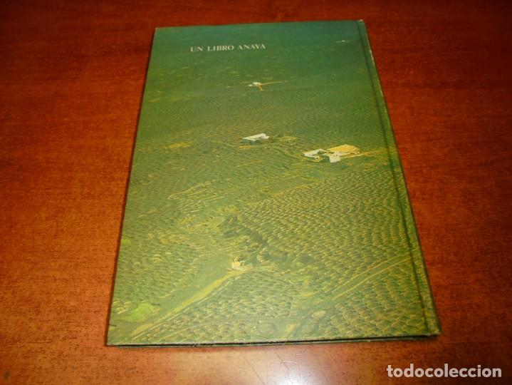 Libros: CANARIAS (ED. ANAYA) 1980 (CARRACEDO ET AL., VVAA) - Foto 3