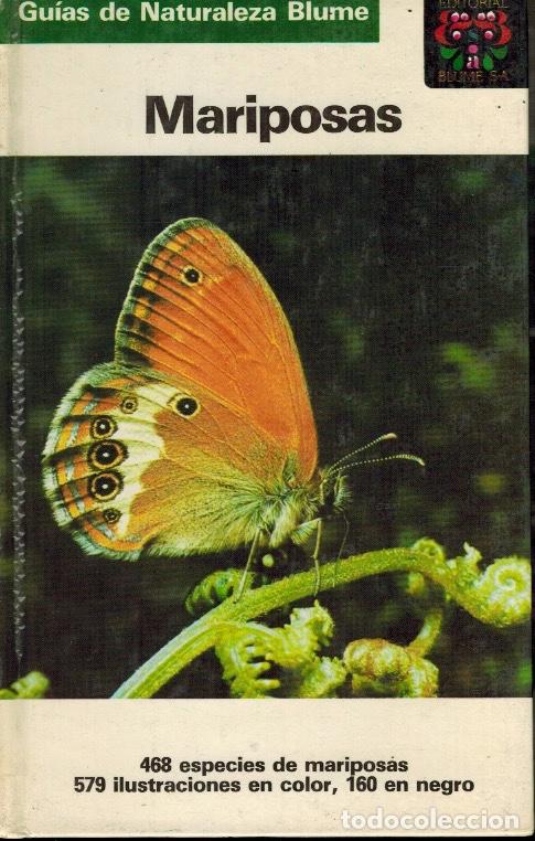 Libros: MARIPOSAS - Foto 1