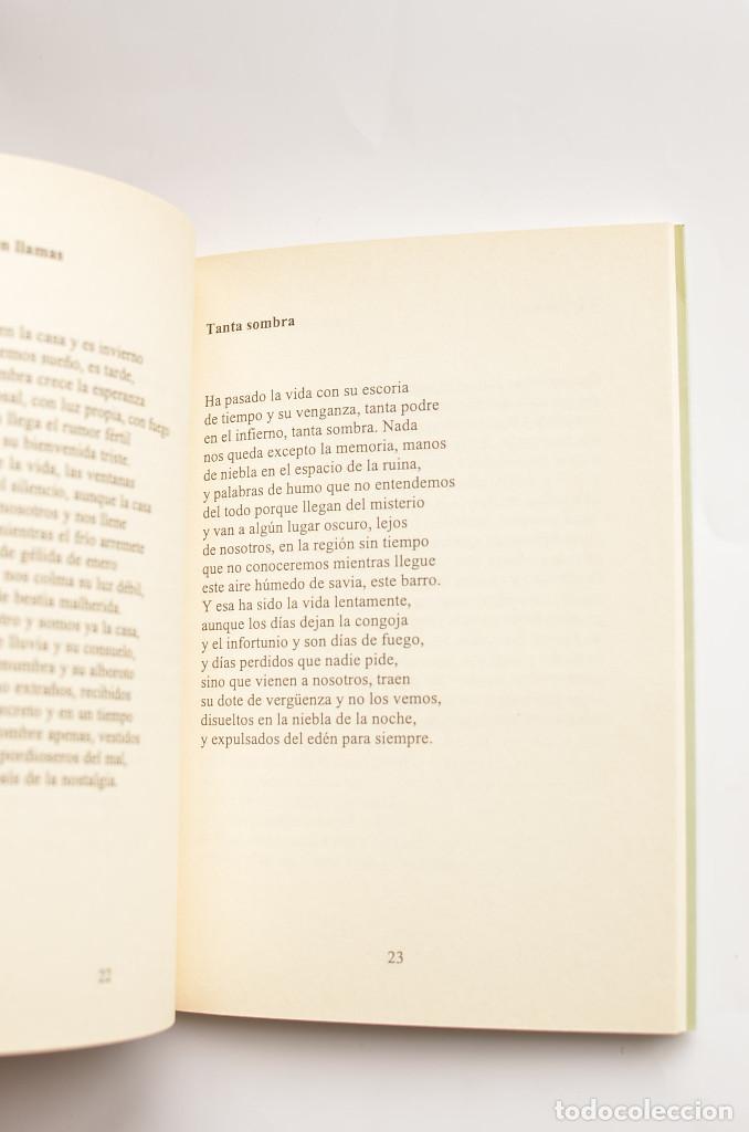 Libros: Luz para comer el pan - GARC&Iacute;A, Pascual - Foto 3