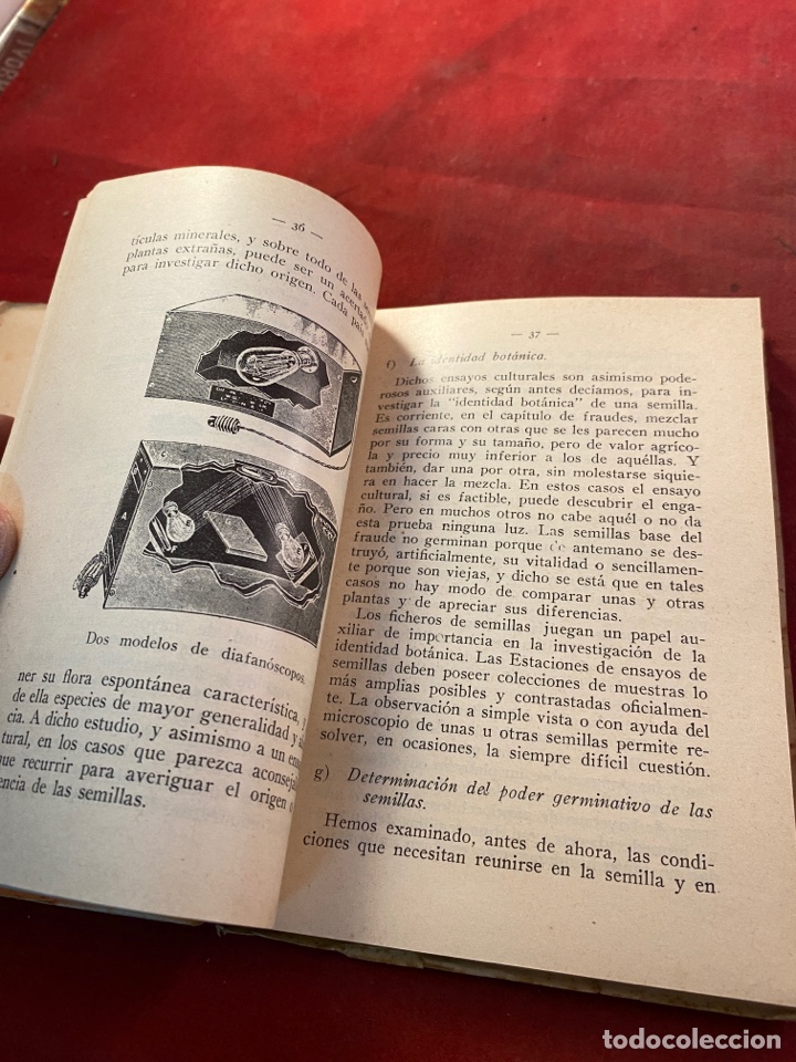 Libros: SEMILLAS - Foto 3