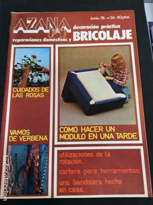 books: Azana decoraci&oacute;n pr&aacute;ctica reparaciones dom&eacute;sticas y bricolaje n&uacute;mero 24