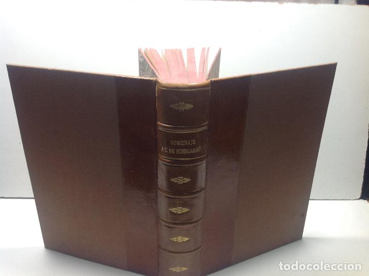 Libros: HOMENAJE A D CARMELO ECHEGARAY 1928 - Foto 11
