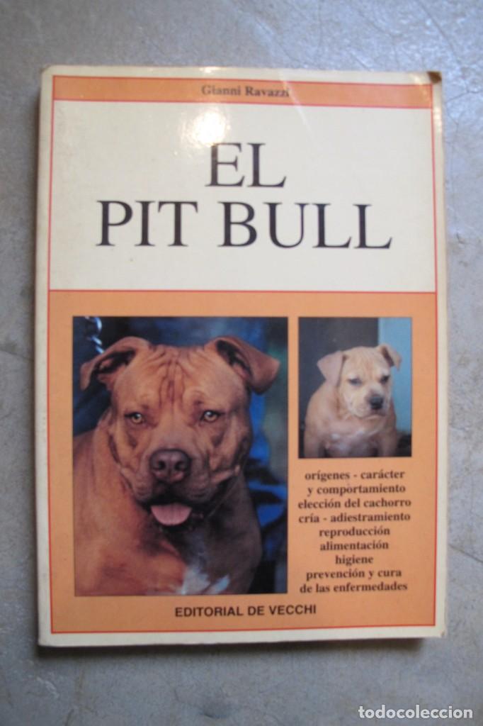 Libros: EL PIT BULL. GIANNI RAVAZZI - Foto 1