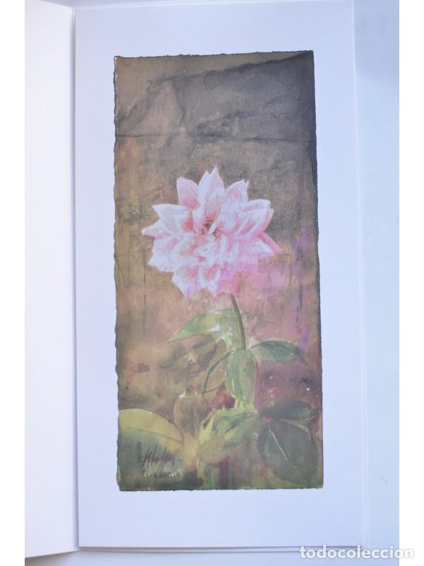Libros: L&aacute;mina Pedro Cano. La Rosa - CANO, Pedro - Foto 1