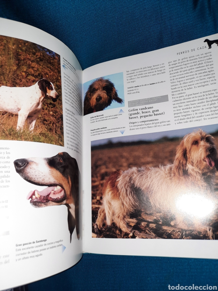 Libros: LAROUSSE DEL PERRO 2003 SPES EDITORIAL - Foto 3
