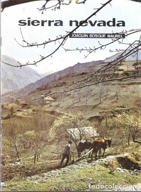 Libros: Sierra Nevada - Bosque Maurel, Joaqu&iacute;n - Foto 1