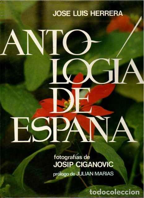 Libros: Antolog&iacute;a de Espa&ntilde;a - Herrera, Jos&eacute; Luis - Foto 1
