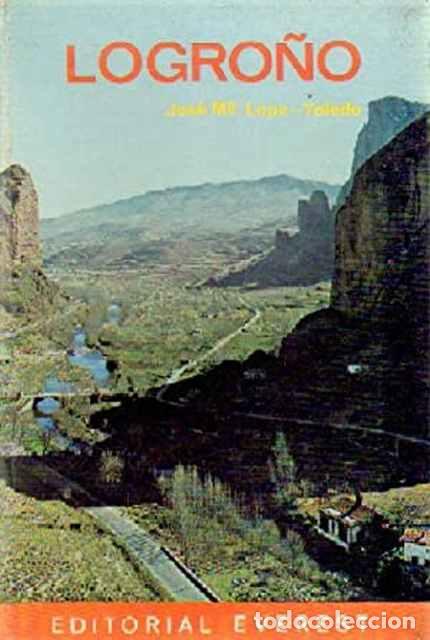 Libros: Logro&ntilde;o - Jos&eacute; M&ordf; Lope Toledo - Foto 1