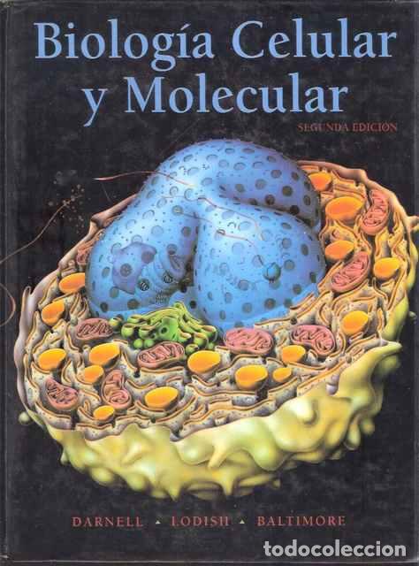 Libros: Biolog&iacute;a celular y molecular - Darnell, Lodish y Baltimore - Foto 1