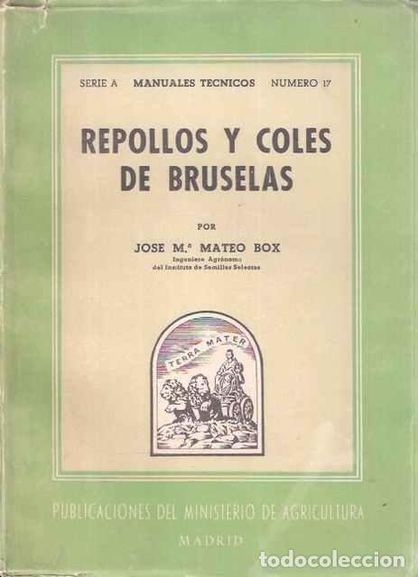 Libros: Repollos y coles de bruselas - Jos&eacute; Mar&iacute;a Mateo Box - Foto 1